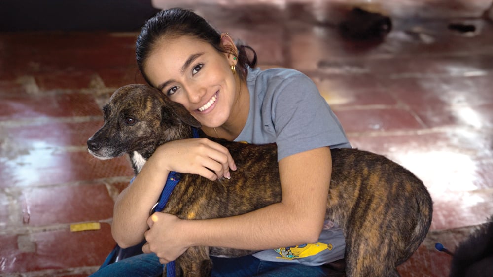 Lo que debes saber sobre las fundaciones para animales