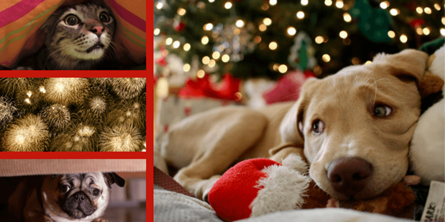 Seguridad en estas fiestas