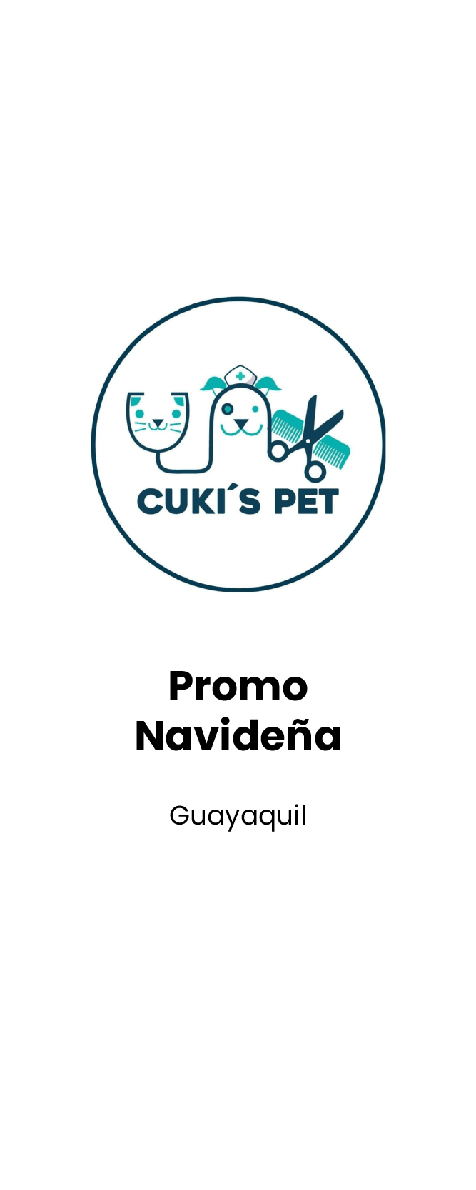 Promo Navideña