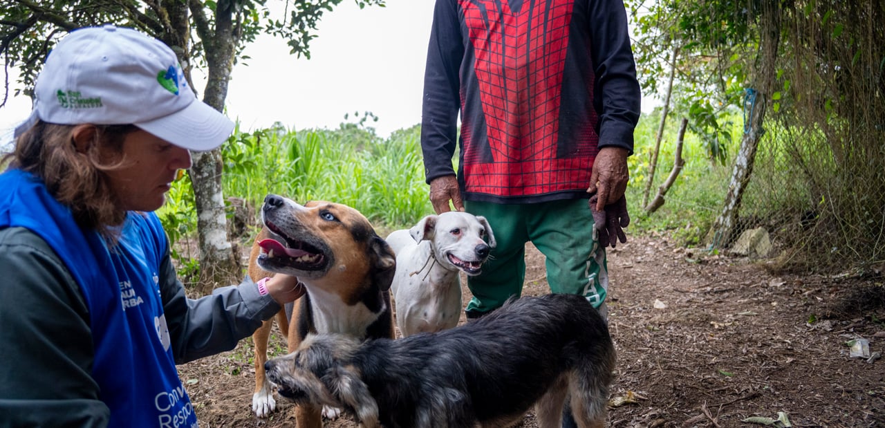 Convivencia Responsable: un modelo ético de gestión de fauna urbana