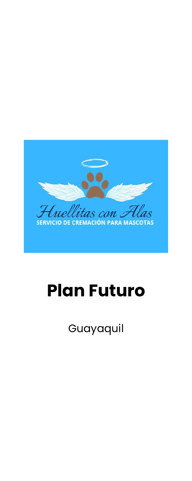 Plan Futuro