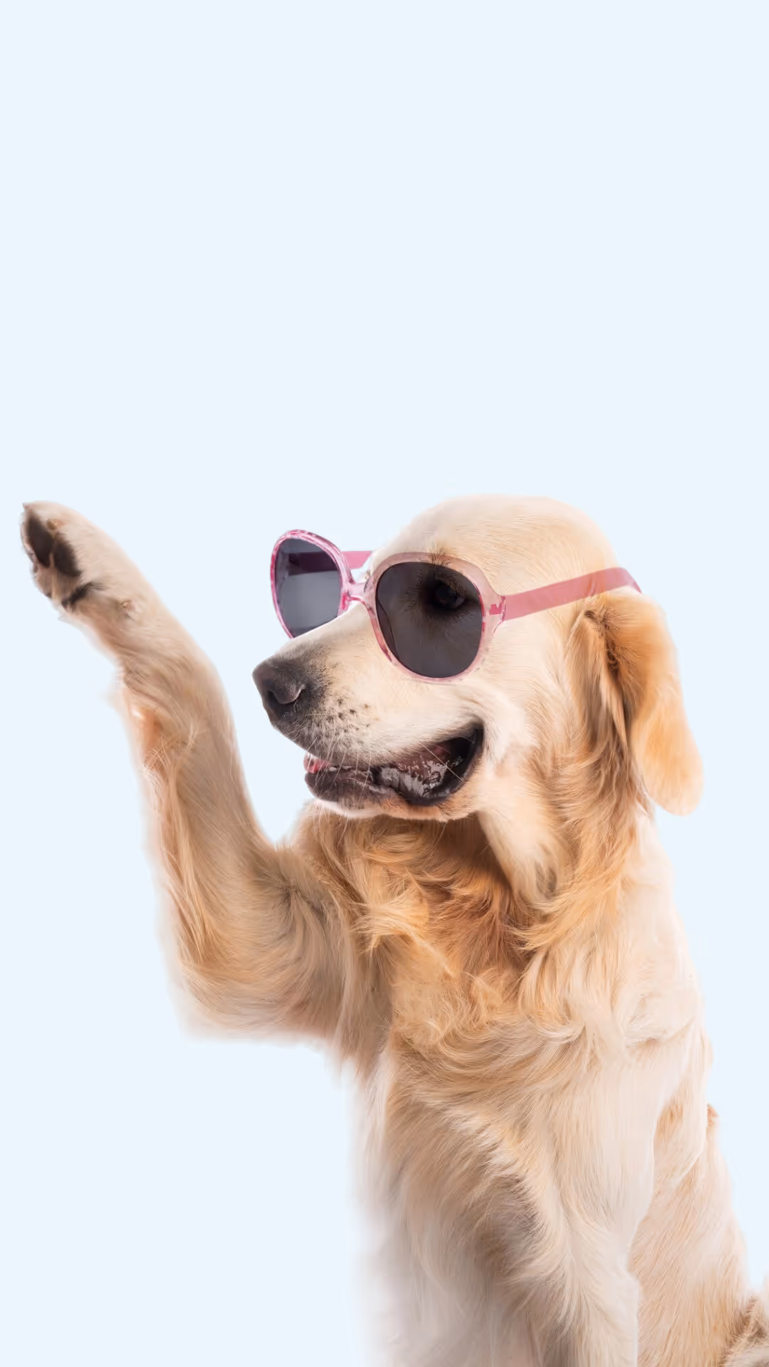 Veterinario sonriendo mientras revisa a un perro golden retriever en una camilla de acero inoxidable.